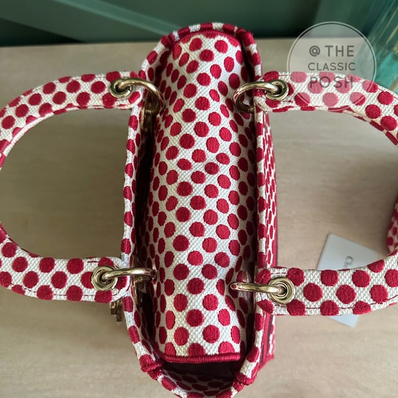 EUC  Rare Christian Dior Lady D Lite Dioramour 2020 Lady Bug Dots Satchel Bag - Picture 14 of 16